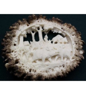 HIRSCHHORNROSE WILDSCHWEINE