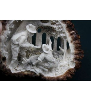 HIRSCHHORNROSE GUTE BEUTE