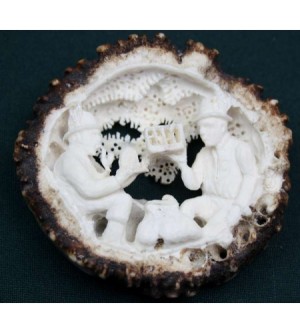 HIRSCHHORNROSE VOGELFÄNGER