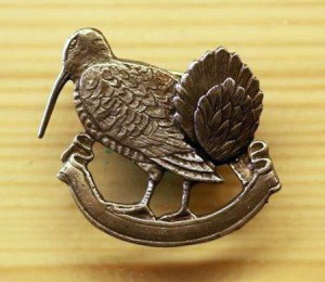 Fassung Schnepfenfedern