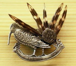 Fassung Schnepfenfedern