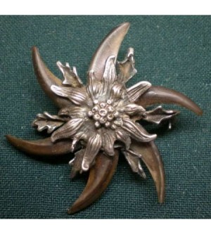 HUTANSTECKER DACHSKRALLENSTERN