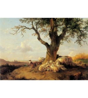 Mittagsruhe unter einem alten Baum