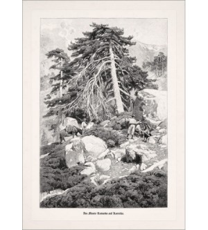 Monte Rotondo Korsika