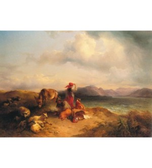 Schafweide am Attersee