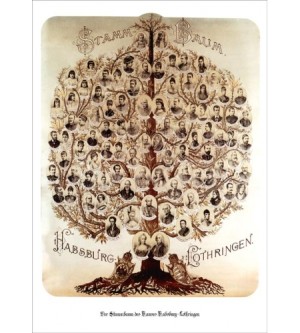 Stammbaum Habsburg Lothringen