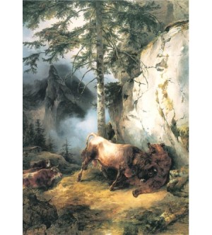 Ein Stier kämpft mit einem Bär