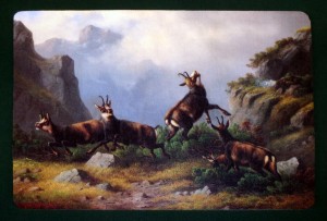 Tischset Untersetzer Wilderer "Gemsen auf steiler Höhen"