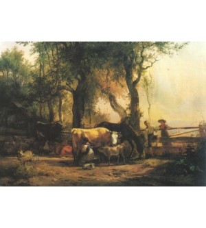 Vieh unter Bäumen am Abend