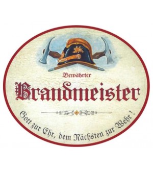Brandmeister