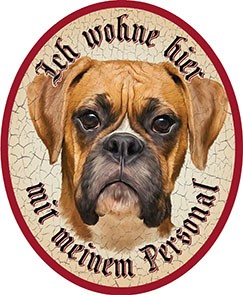 Boxer Hund 15+