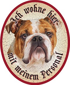 Bulldogge Hund 19 +