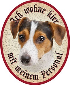 Jackrussel Hund 22 +