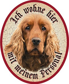 Cocker Spaniel Hund 23 +