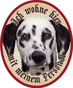 Dalmatiner Hund +