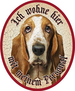 Basset Hund +