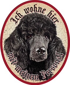 Pudel Hund +