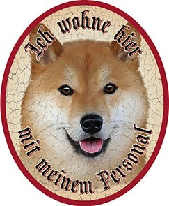 Shiba Inu Hund +