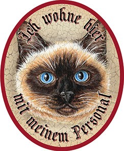 Katze Siam +