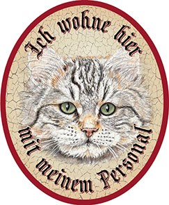 Katze Tiger Langhaar +