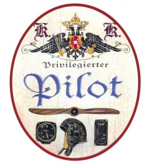 Pilot