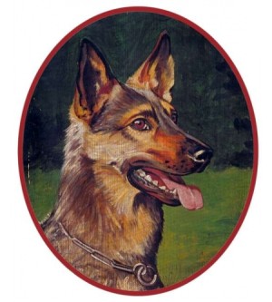 Schäferhund