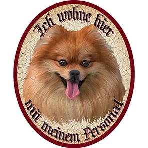 Hund 60 Spitz braun +