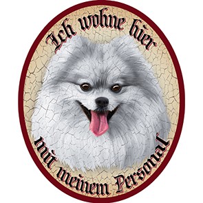 Hund 62 Spitz weiß +