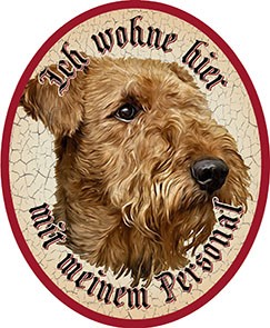 Hund 48 Airedale Terrier +