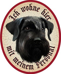 Hund 4 Riesenschnauzer +