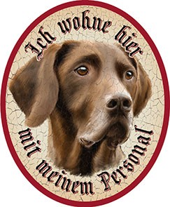 Deutsch Kurzhaar Hund 20 +