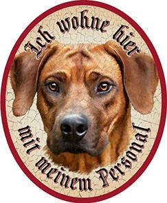 Rhodesien Ridgeback Hund 25 +