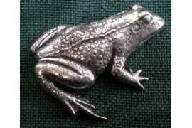 A14 frog