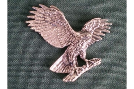 B37 eagle
