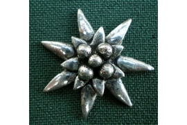 C21 small edelweiss