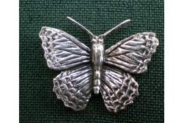 C2 butterfly