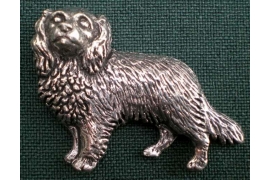 D7 Spaniel