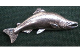 F19 salmon