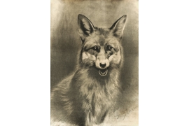 Fuchs