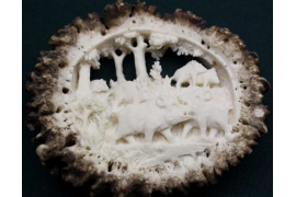 HIRSCHHORNROSE WILDSCHWEINE