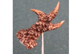HUTANSTECKER REHKRICKERL