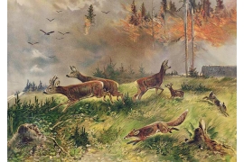 Waldbrand