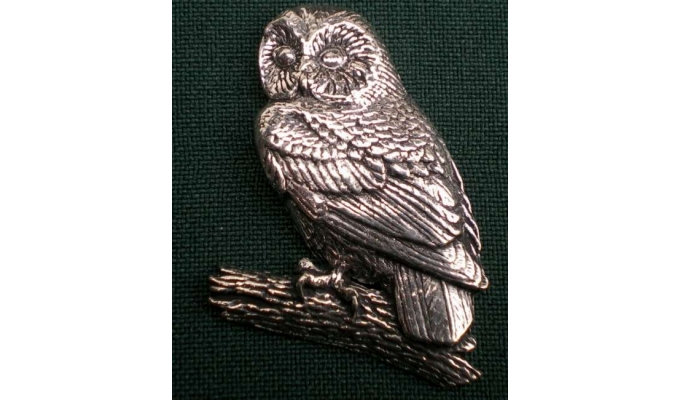 B3 owl