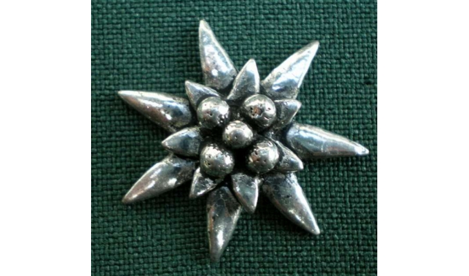 C21 small edelweiss