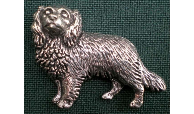 D7 Spaniel