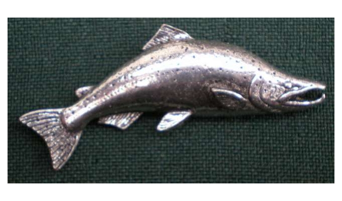 F19 salmon