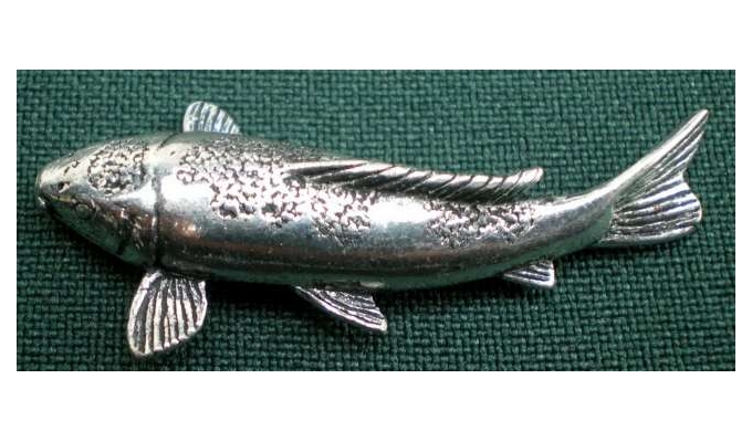 F28 Koi Karpfen