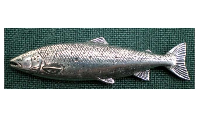 F32 atlantic salmon