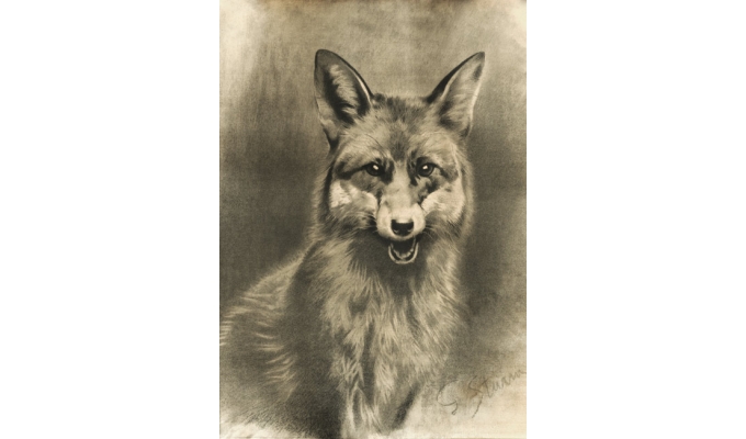 Fuchs
