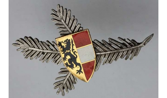 Bruch mit Salzburger Wappen